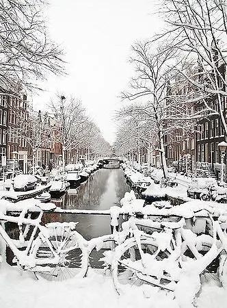 Studio Bloemgracht